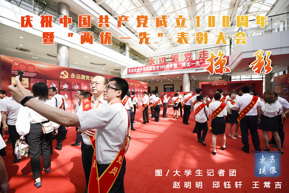 庆祝中国共产党成立100周年暨“两优一先”表彰大会掠影